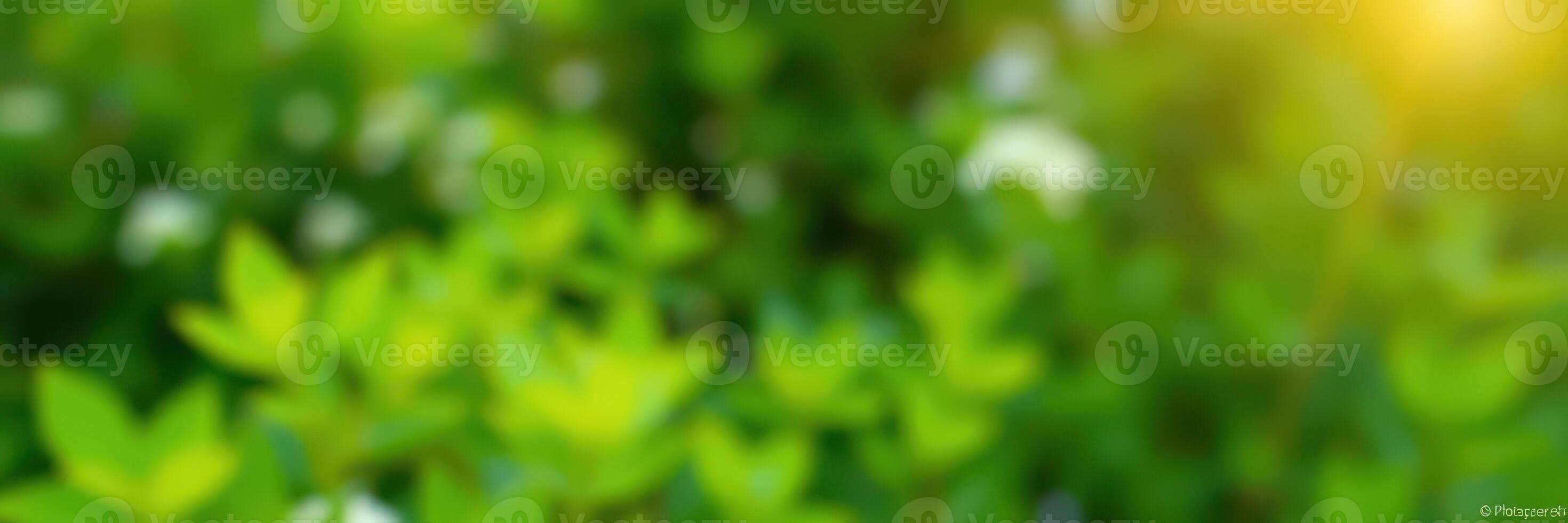 Lush greenery illuminated by sunlight creates a vibrant atmosphere in a serene nature setting by a quiet stream photo