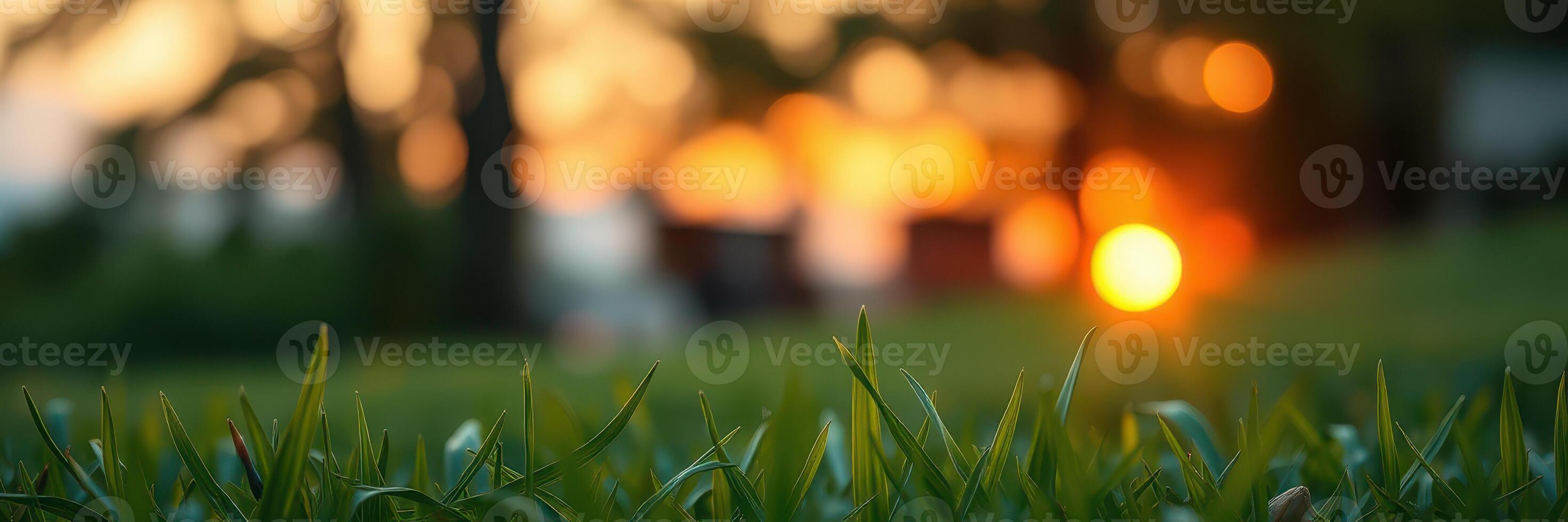 Vibrant sunset casts warm glow over lush green grass in serene outdoor setting photo