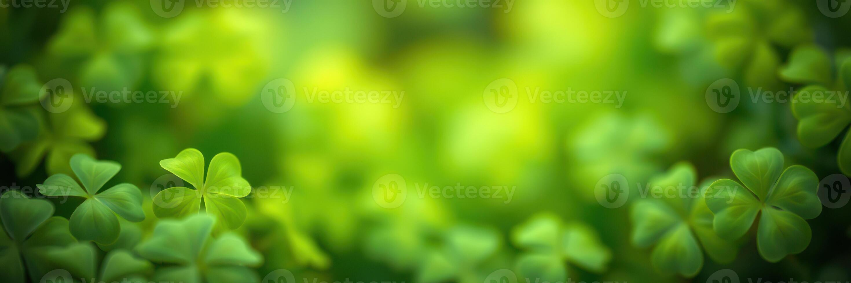 Lush green clover leaves create a vibrant and serene atmosphere in a natural setting photo