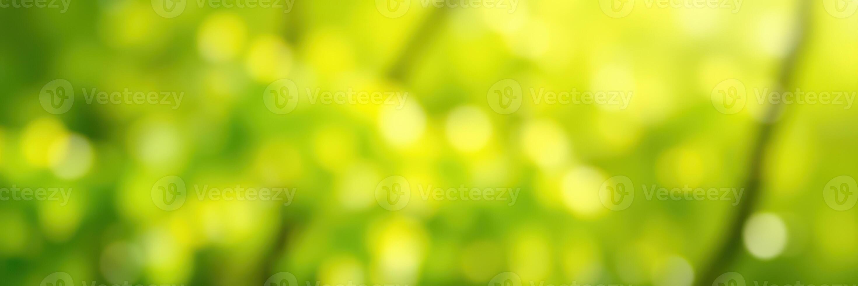 Vibrant green foliage with soft bokeh effect captured during a sunny afternoon in a lush garden setting photo