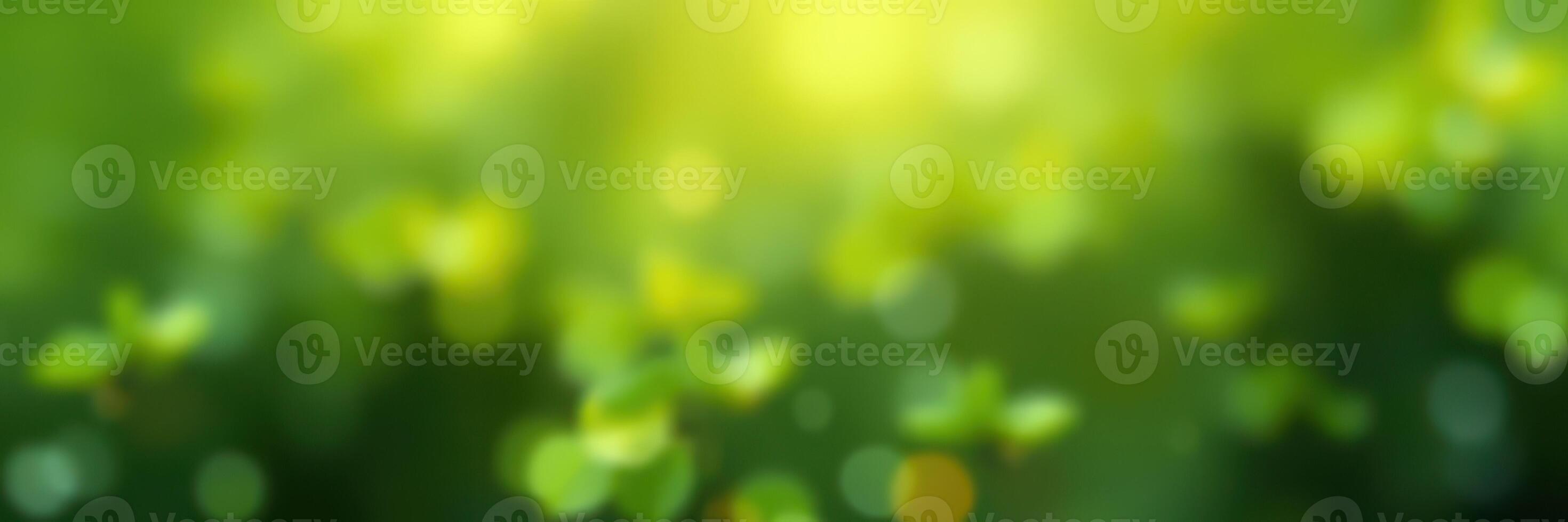 Vibrant green foliage illuminated by soft sunlight during a peaceful afternoon in nature photo