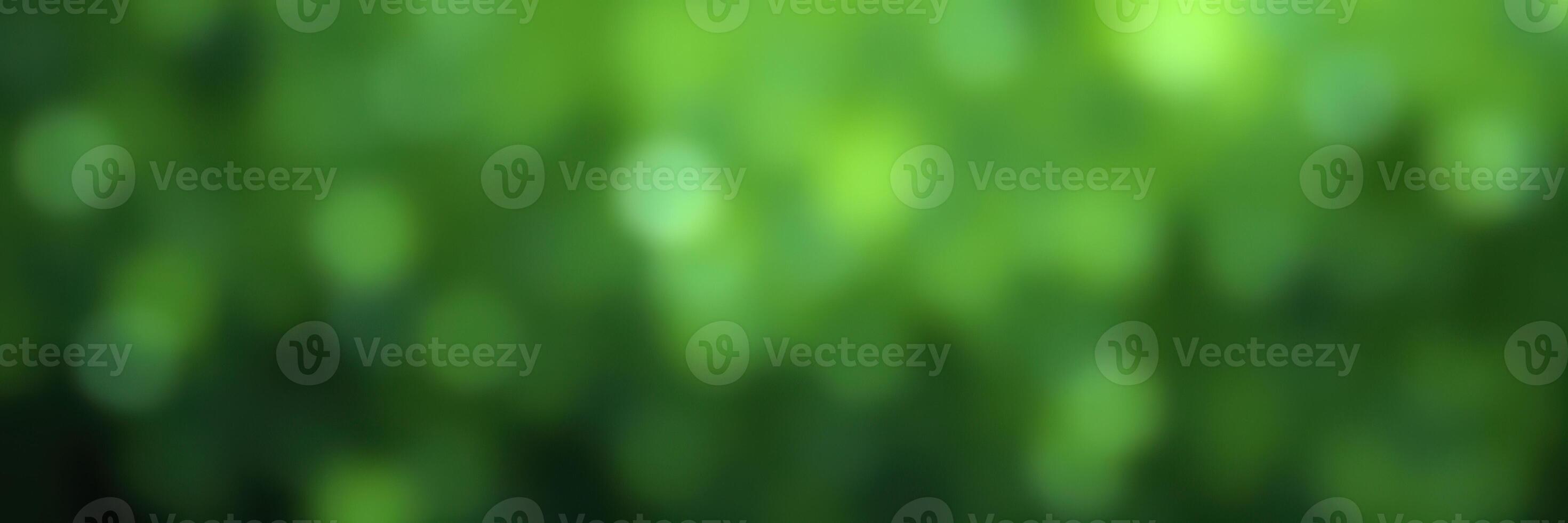 Green foliage with bokeh effect captured in soft focus during a sunny day in a vibrant natural setting photo