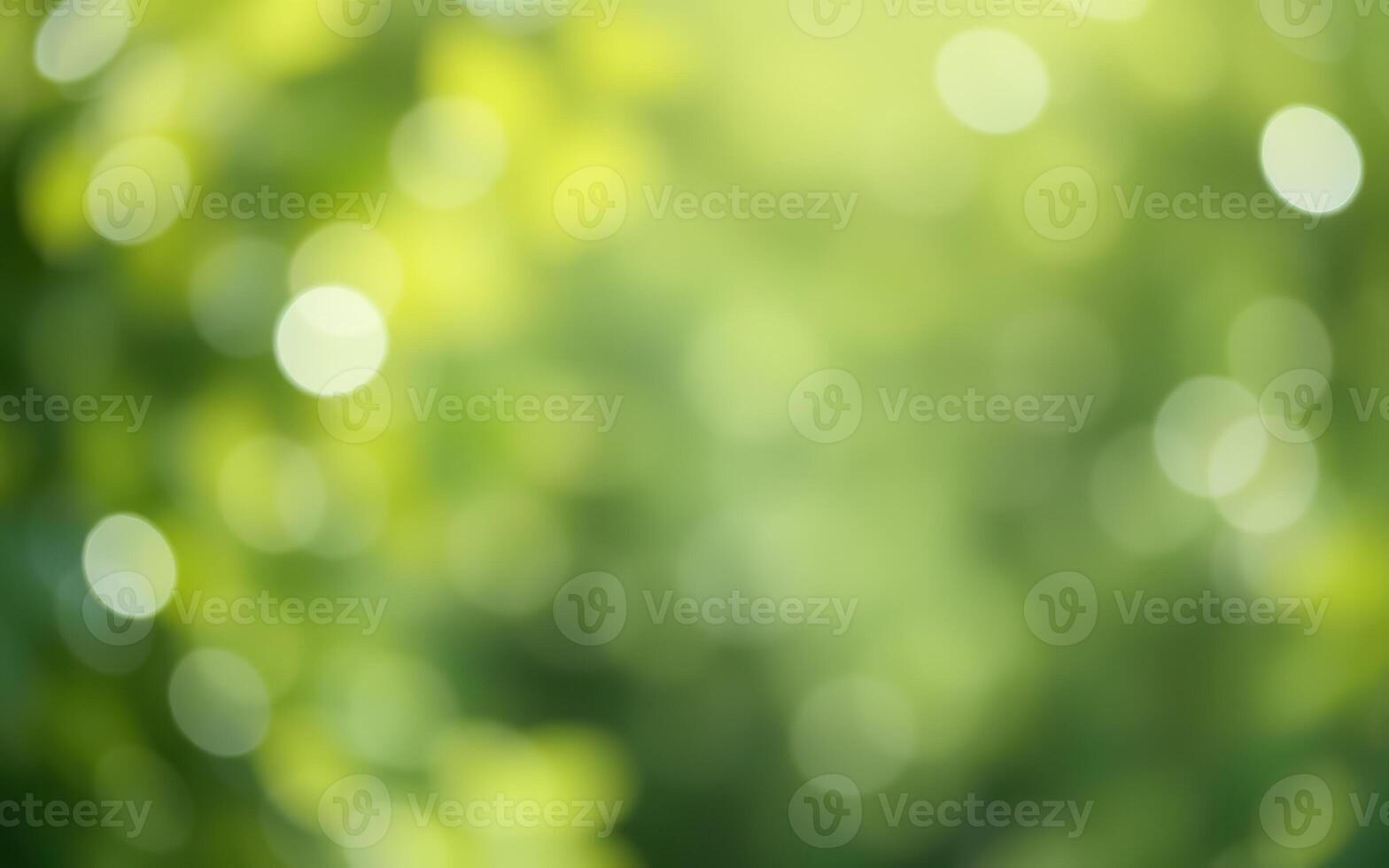 Soft green bokeh effect creates a dreamy atmosphere in a sunlit forest during early summer photo