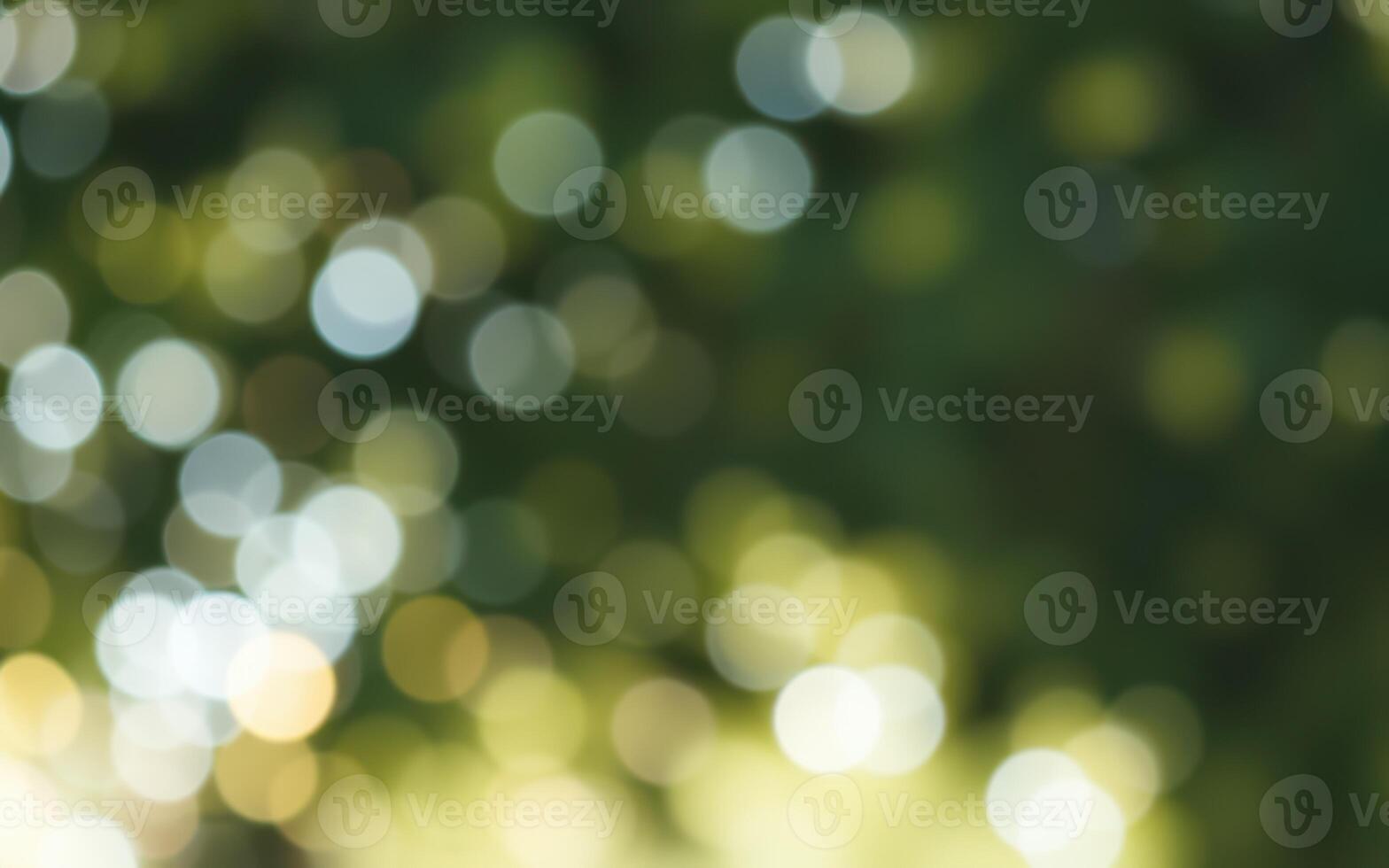 Sunlight filters through leaves creating a shimmering bokeh effect in a lush garden at midday photo