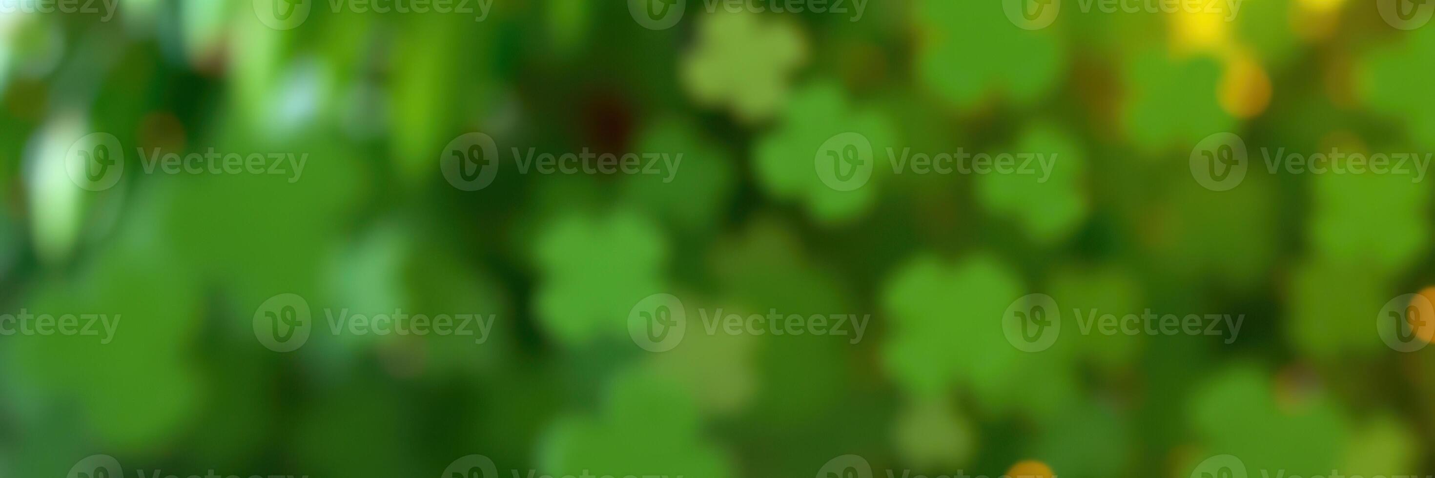Beautiful green foliage with delicate shapes and soft light creating a tranquil atmosphere in a natural setting photo