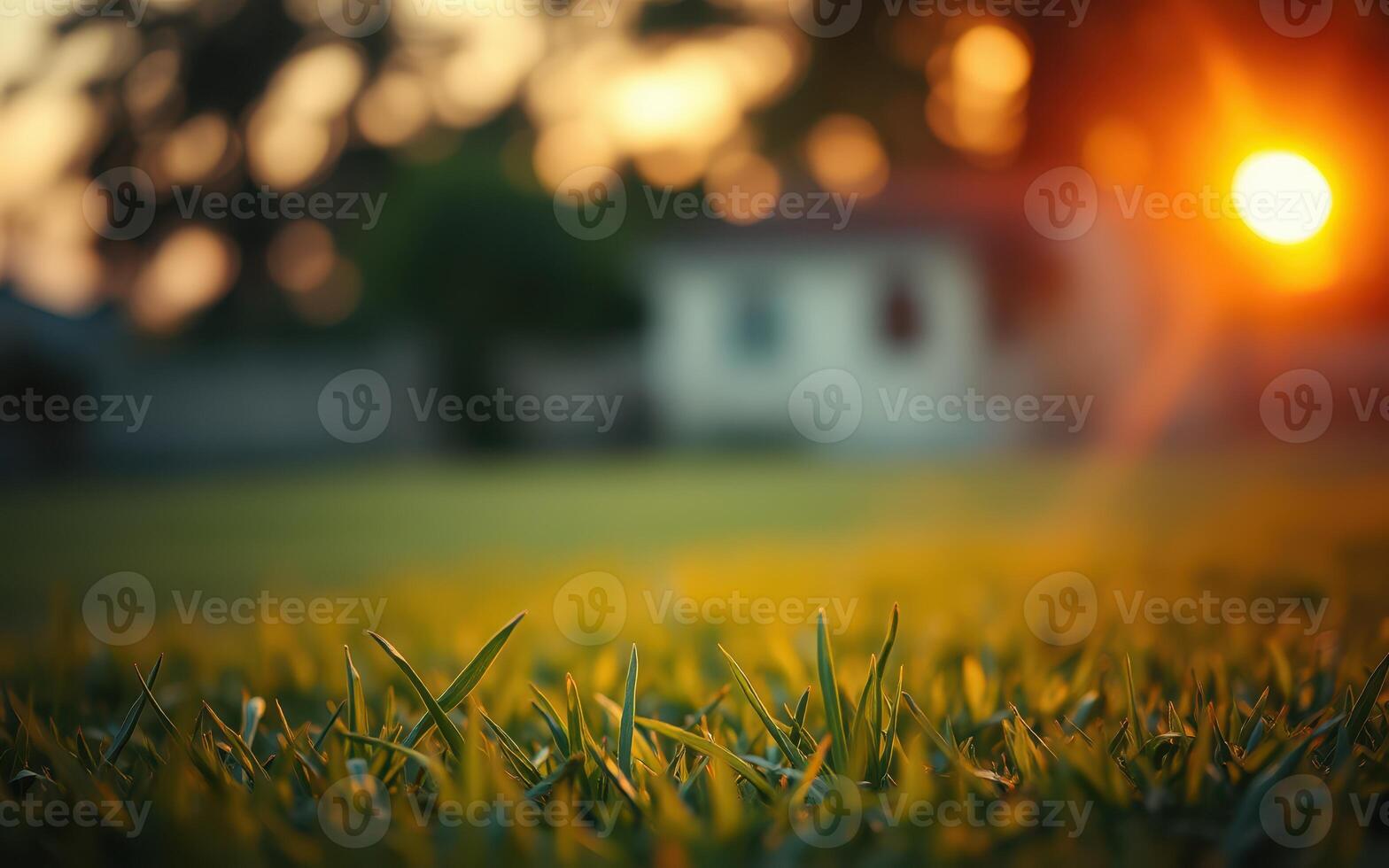 Golden sunlight shines on grass in a serene backyard at sunset near a cozy house photo