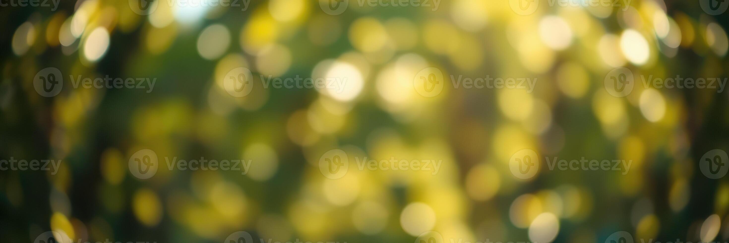 Soft sunlight filters through golden leaves creating a dreamy, bokeh effect in a serene outdoor setting during autumn photo