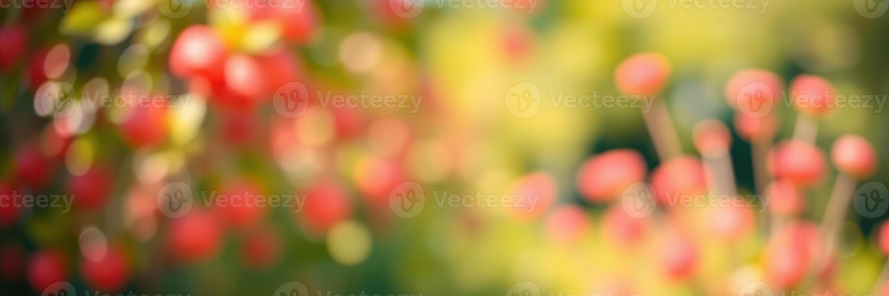 Colorful and blurred backdrop of vibrant red flowers in a lush garden setting illuminated by sunlight during a warm afternoon photo