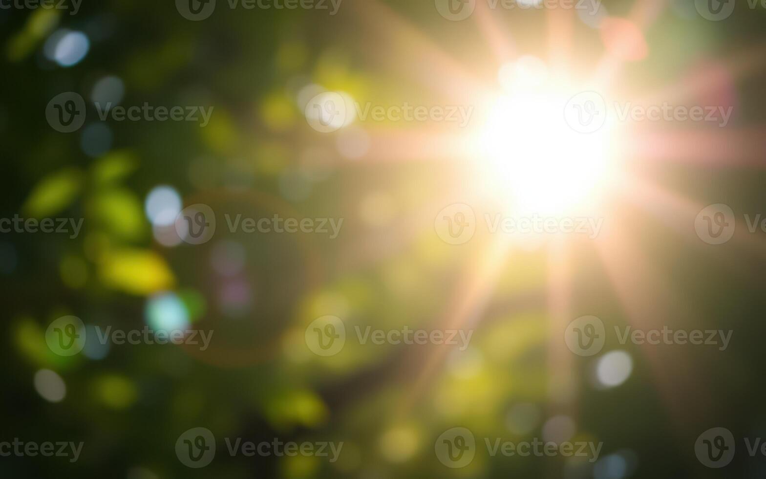 Sunlight streams through green leaves in a vibrant forest setting during a bright afternoon photo