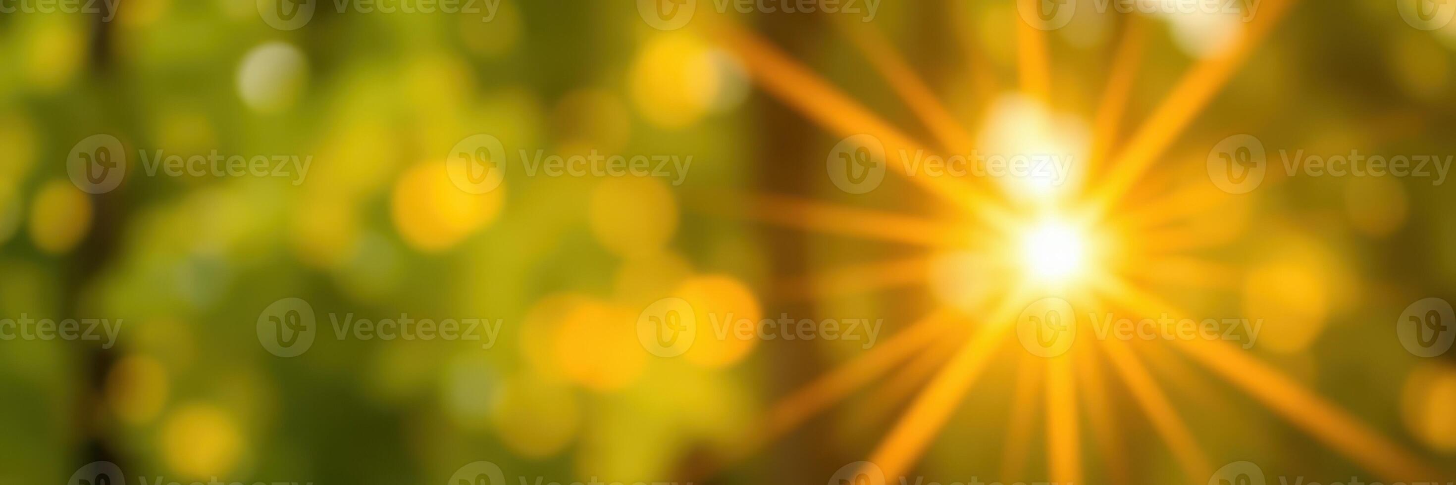 Sunlight filters through trees, creating a warm glow in a serene forest setting during the afternoon photo
