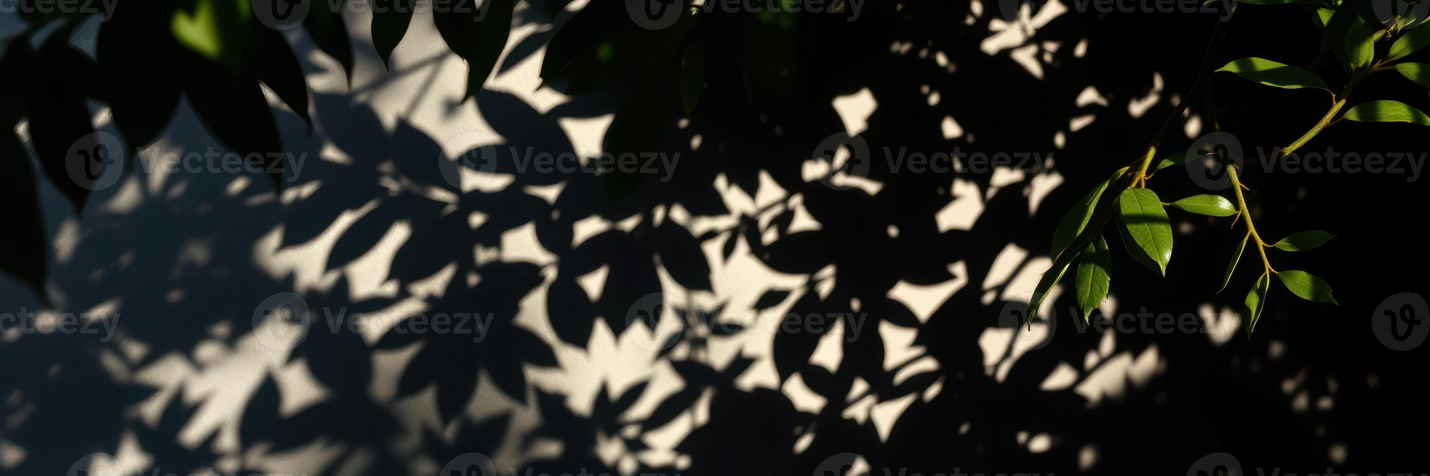 Beautiful shadows of lush green leaves cast on a light surface during a sunny afternoon in a tranquil outdoor setting photo