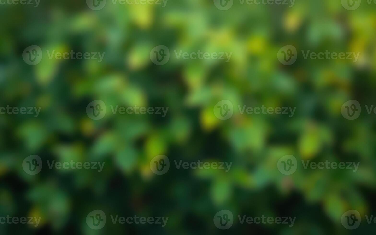 Nature backdrop featuring lush green foliage during a sunny day photo