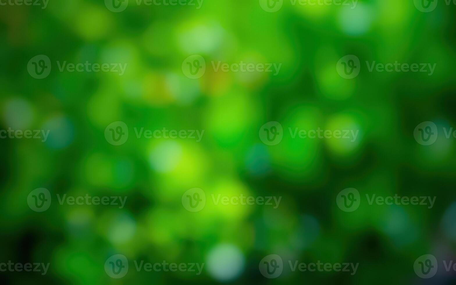 Various shades of green create a vibrant backdrop in a lush garden during daylight hours photo