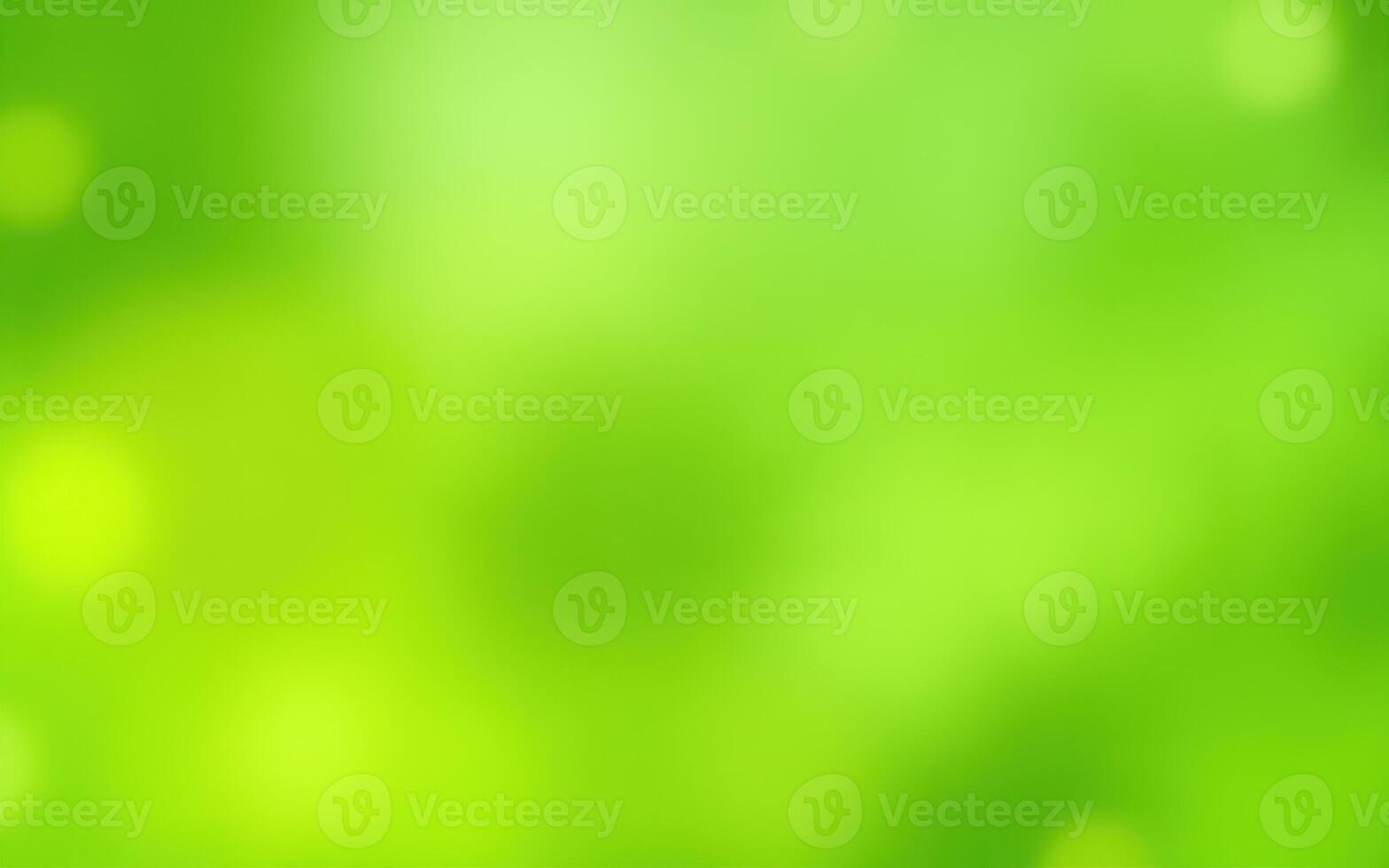 Beautiful blurred natural green background for creative projects and designs photo