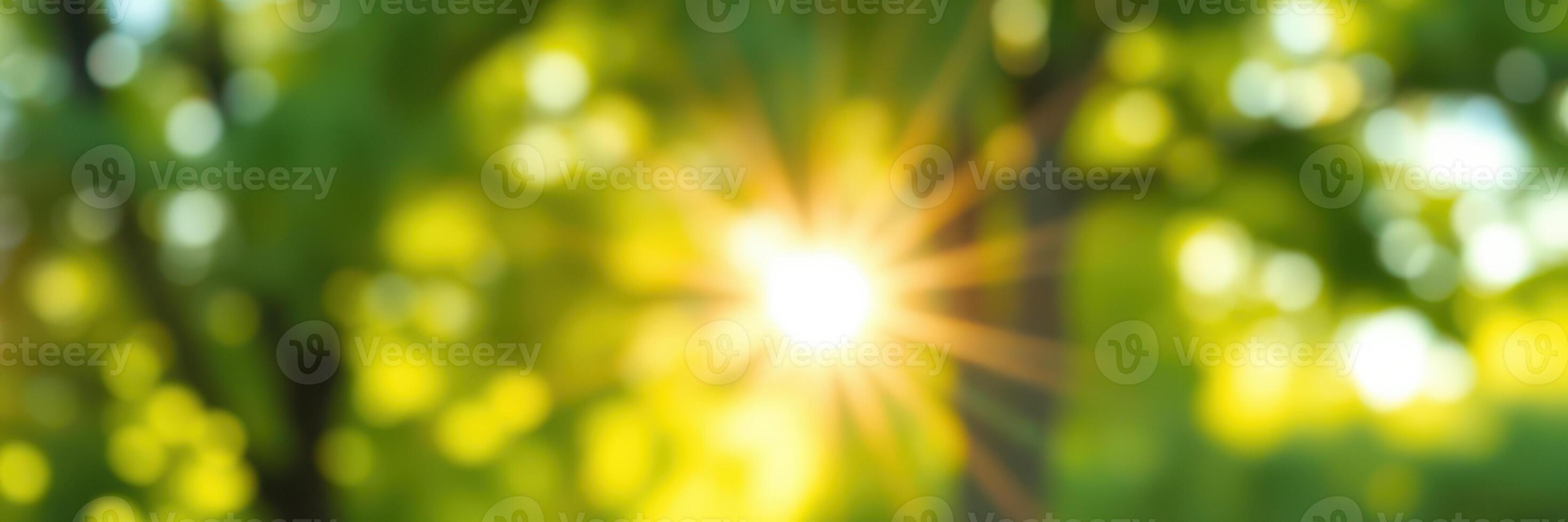 Sunlight filters through lush trees creating a warm and serene atmosphere in a vibrant natural setting photo