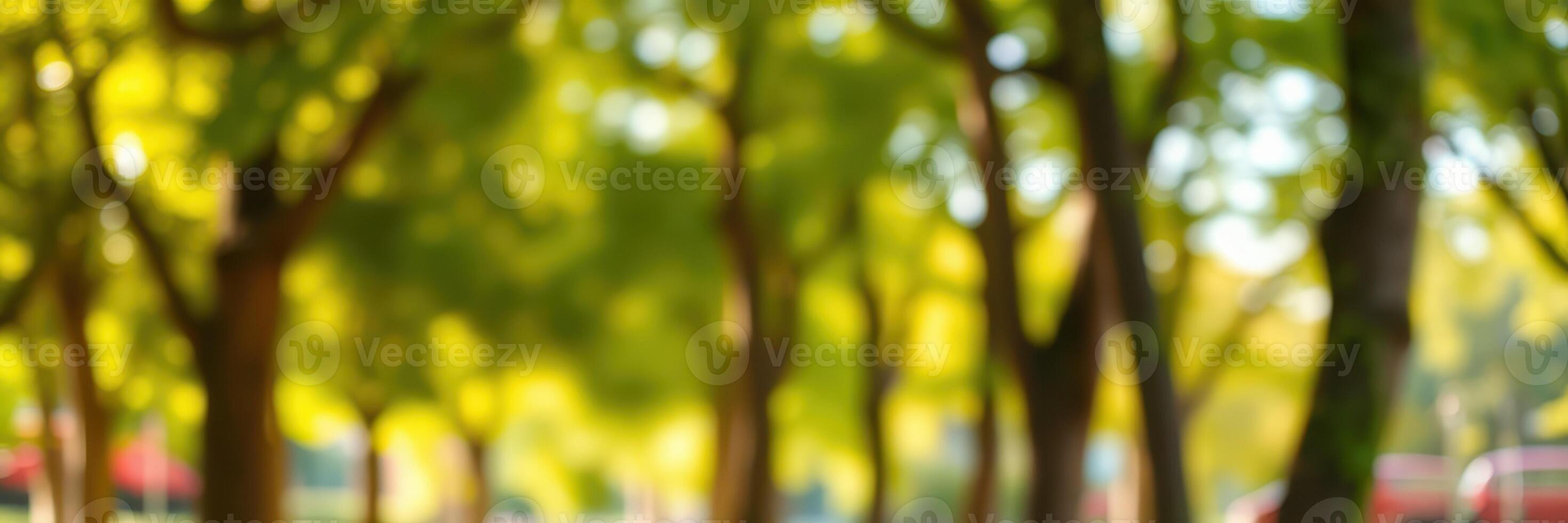 Lush park pathway lined with trees under bright sunlight during a warm afternoon in summer enhancing outdoor relaxation photo