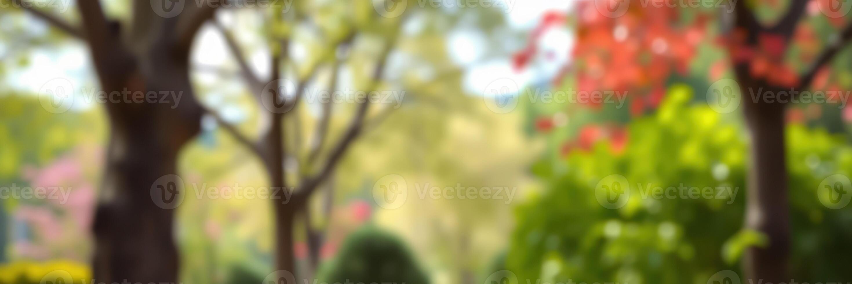 Vibrant spring afternoon in a lush park with blooming trees and colorful foliage photo