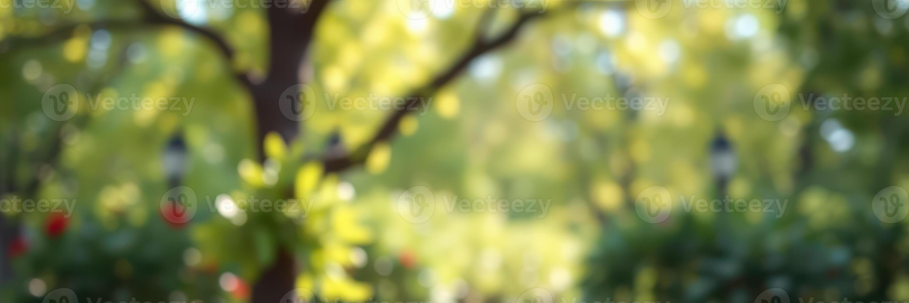 Lush green park with soft sunlight illuminating the pathway and vibrant flowers during a tranquil afternoon stroll photo