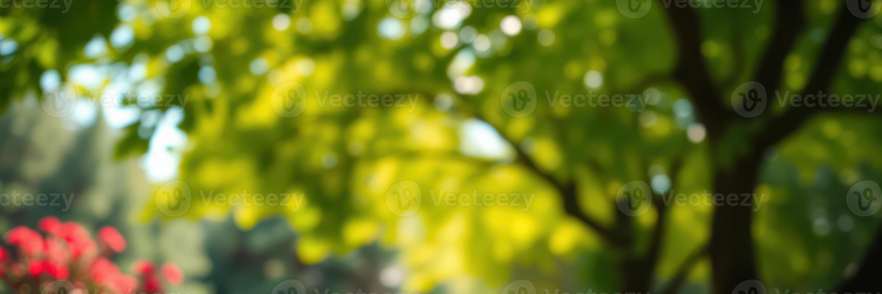 Beautiful sunny day in the park with vibrant green trees and colorful flowers blooming photo