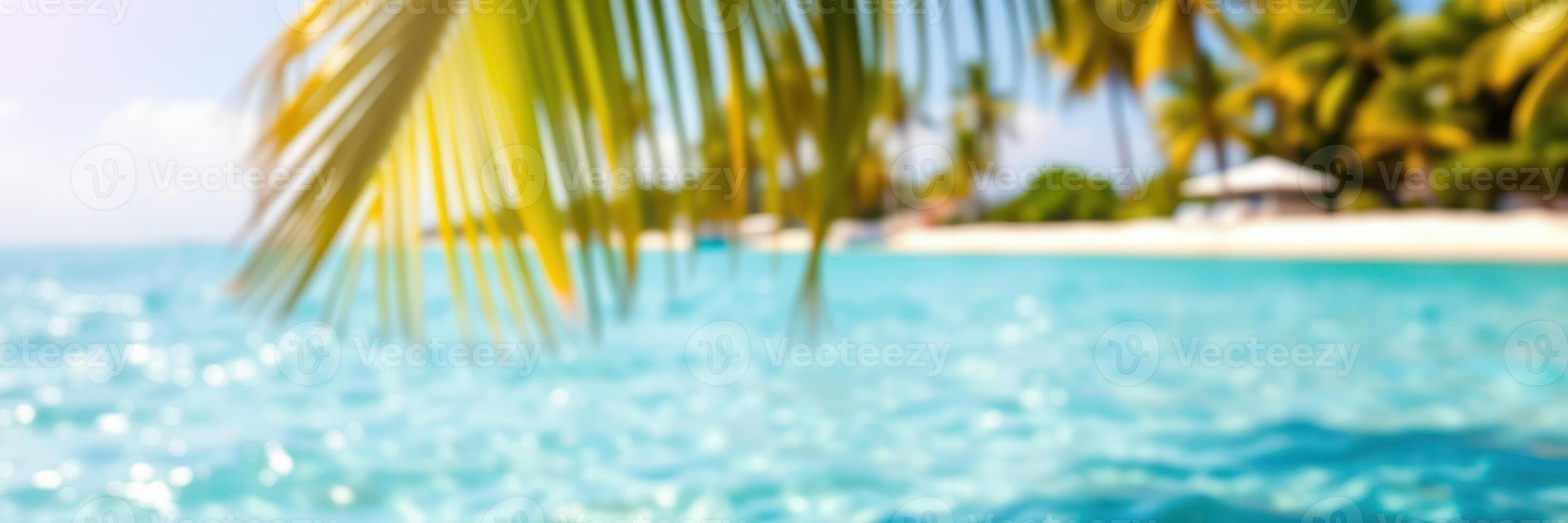 Sunny beach with crystal clear water and palm trees on the shore during a bright day photo