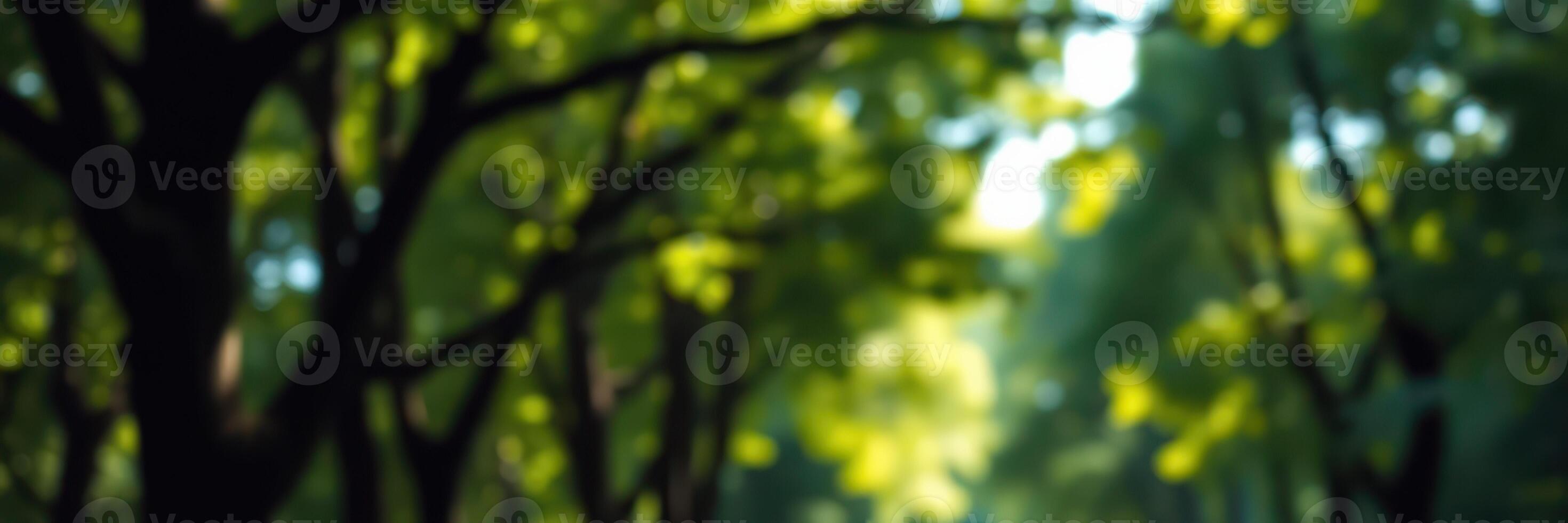 Sunshine filters through lush green trees in a vibrant park during a warm afternoon walk photo