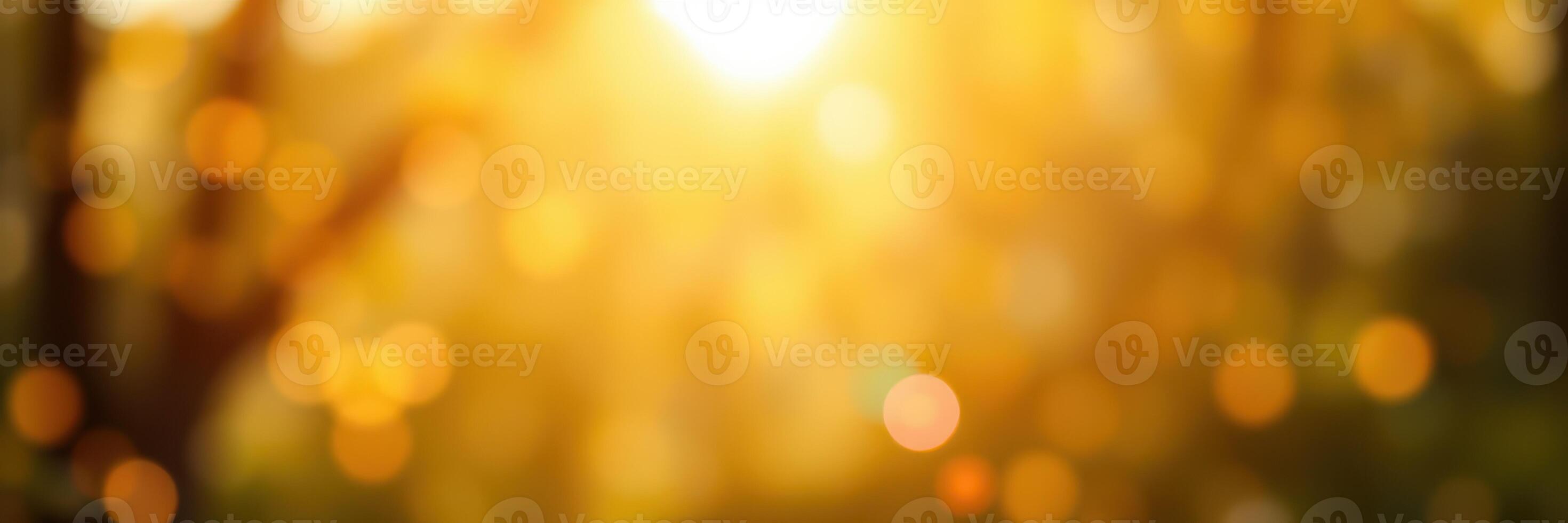 Golden sunlight filters through trees creating a warm, serene atmosphere at dusk photo