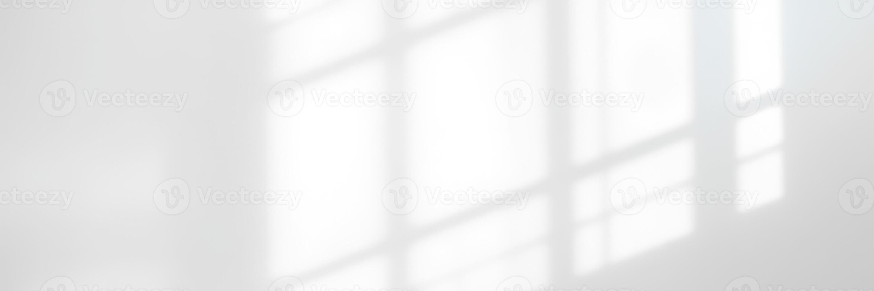 Soft shadows dance across a white wall illuminated by morning light streaming through a window photo