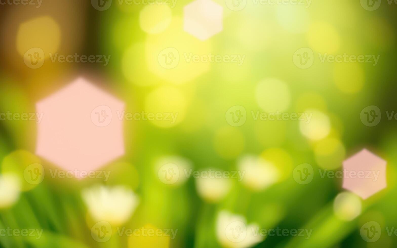 Soft sunlight illuminates a field of blooming flowers during springtime, creating a serene atmosphere photo