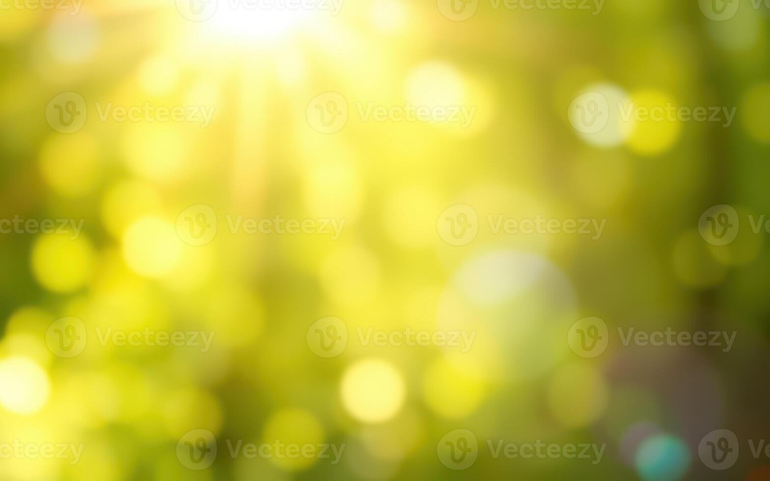 Sunlight filtering through green foliage creates a serene atmosphere in a forest setting during summer photo