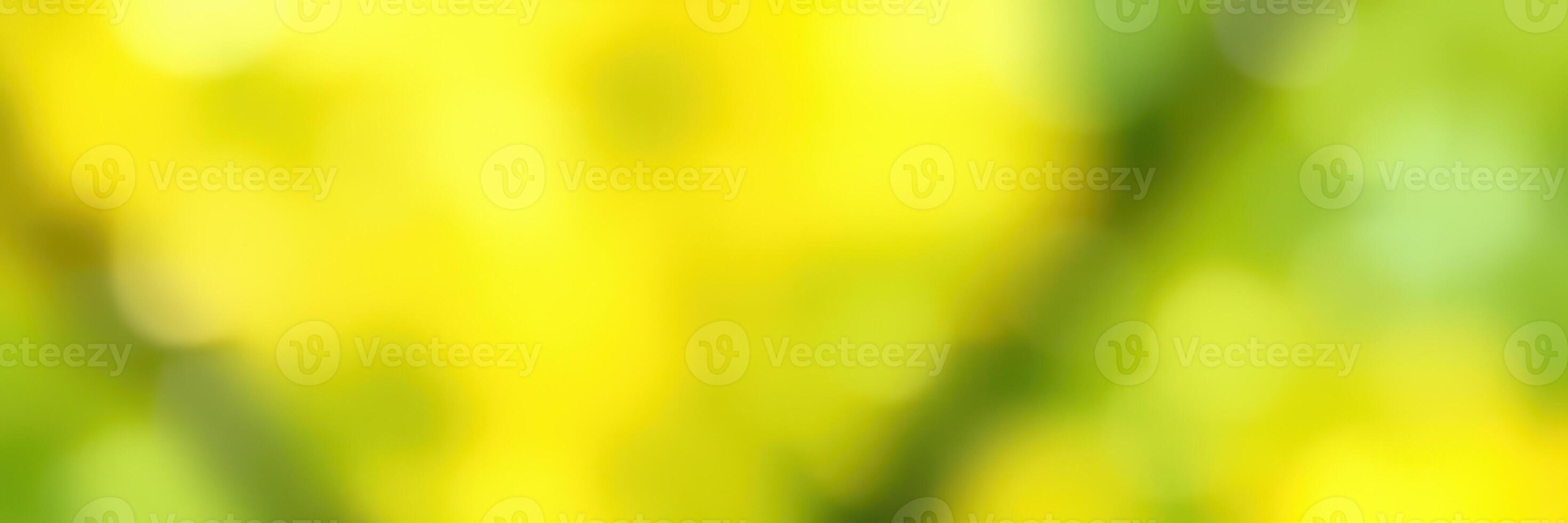 Bright yellow flowers blooming in a lush garden during springtime sunshine photo