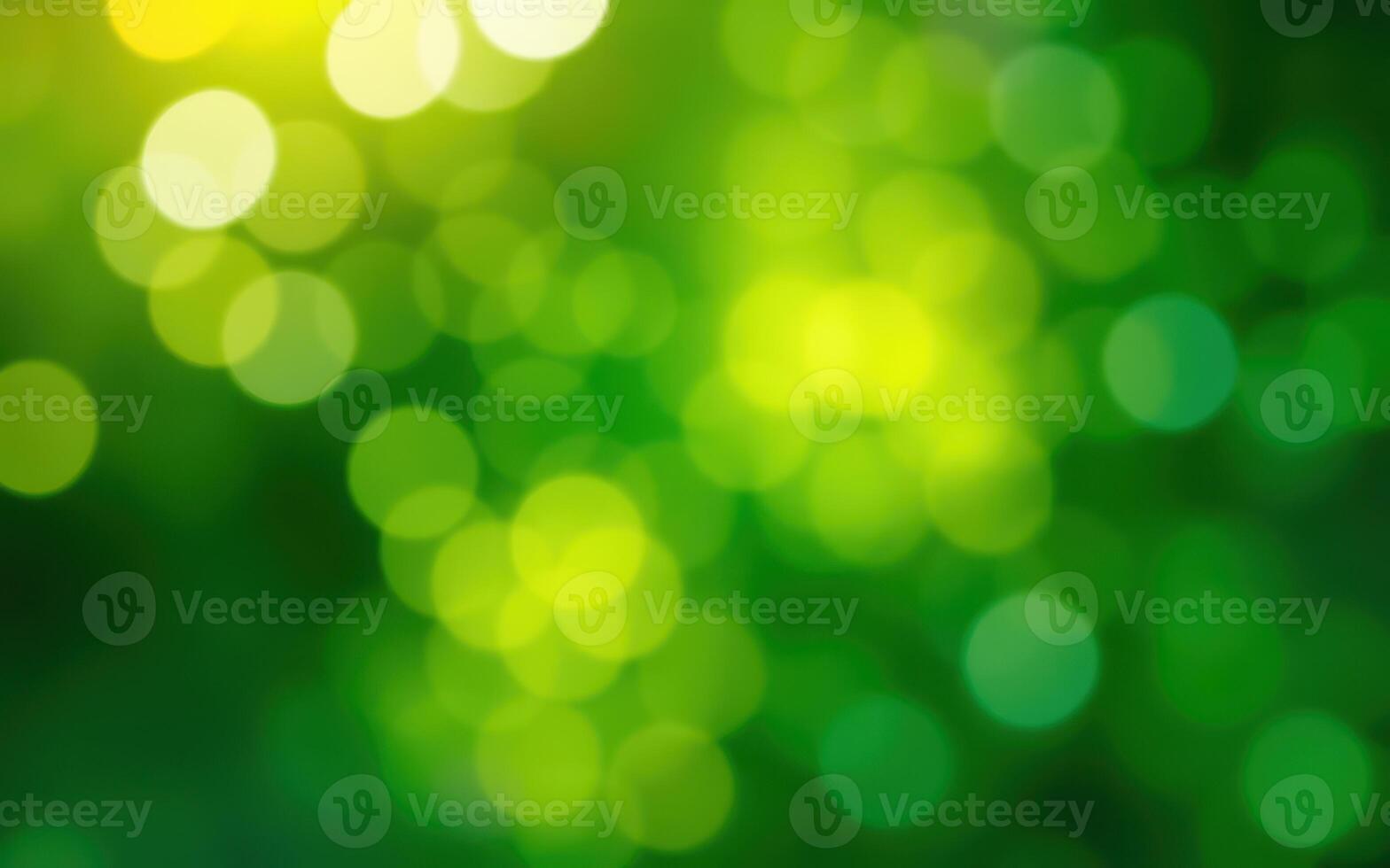 Lush green bokeh background creates a tranquil atmosphere in the early afternoon light photo