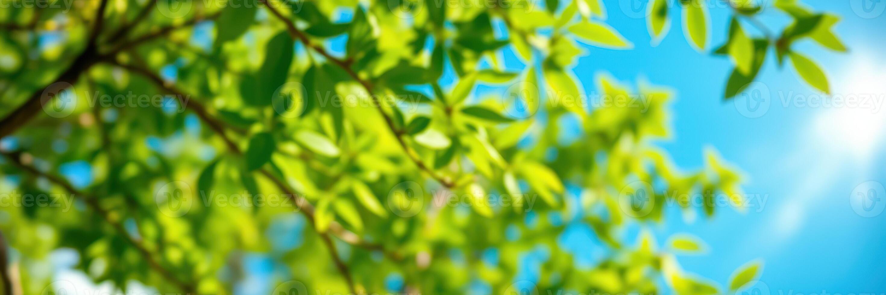 Bright green leaves basking in sunlight against a clear blue sky during a serene afternoon in a park photo
