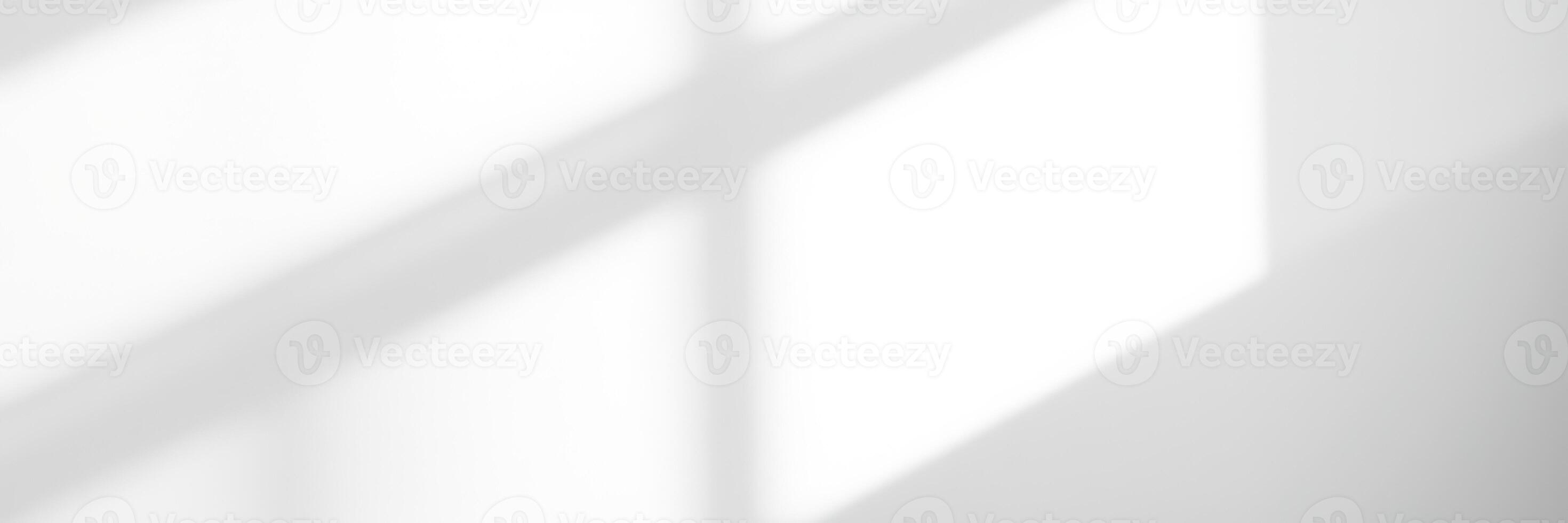 Light plays over a minimalistic interior space showcasing soft shadows and bright highlights during the morning photo