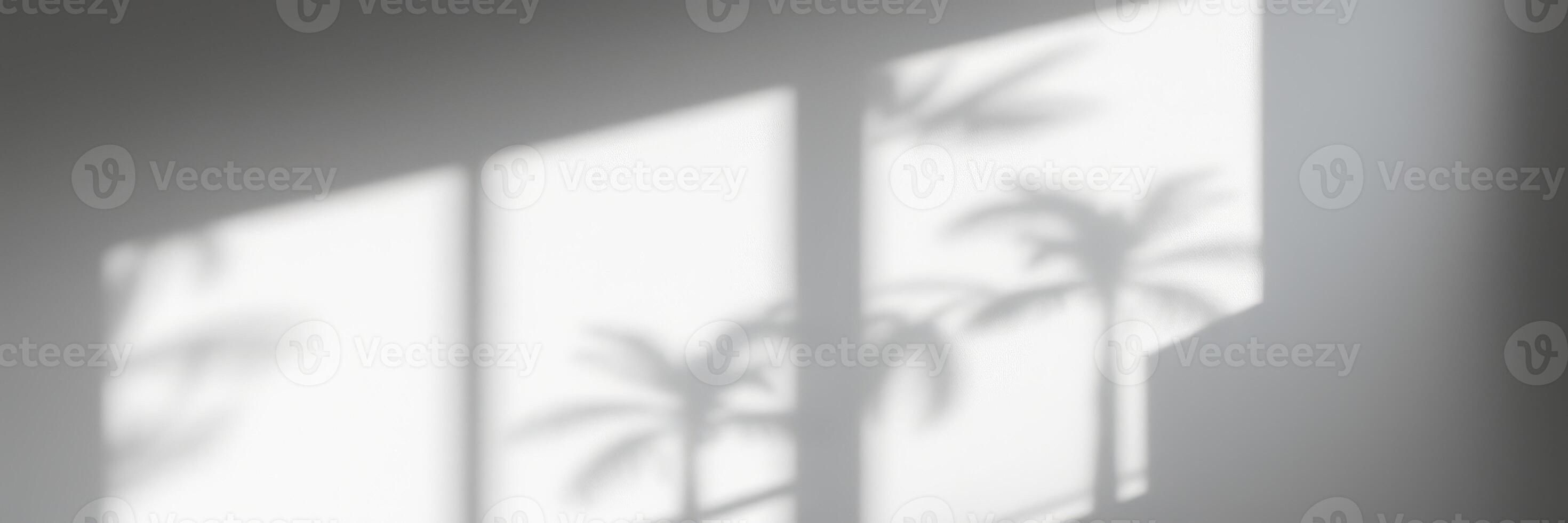 Light casting soft shadows of palm trees in a tranquil indoor setting during a sunny afternoon photo