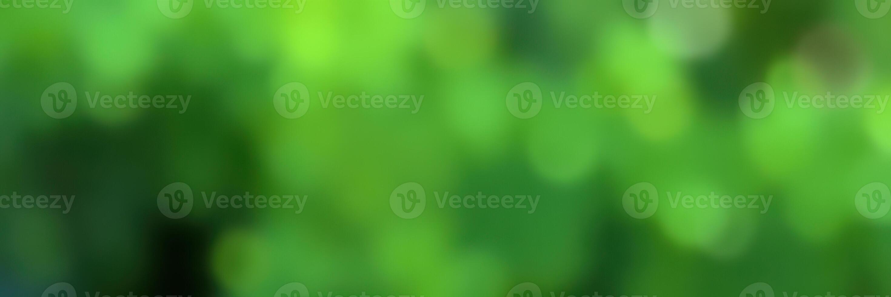 Lush green foliage illuminated by soft sunlight creates a serene atmosphere in a vibrant forest photo