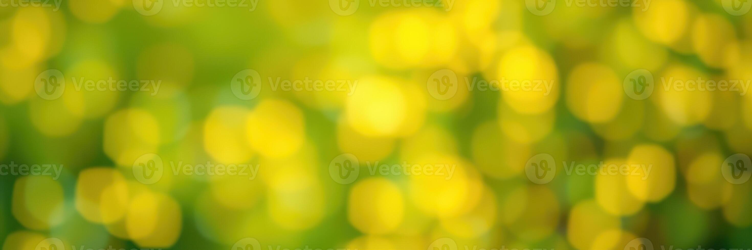 Golden bokeh lights create a warm and vibrant atmosphere in a garden during a sunny afternoon photo