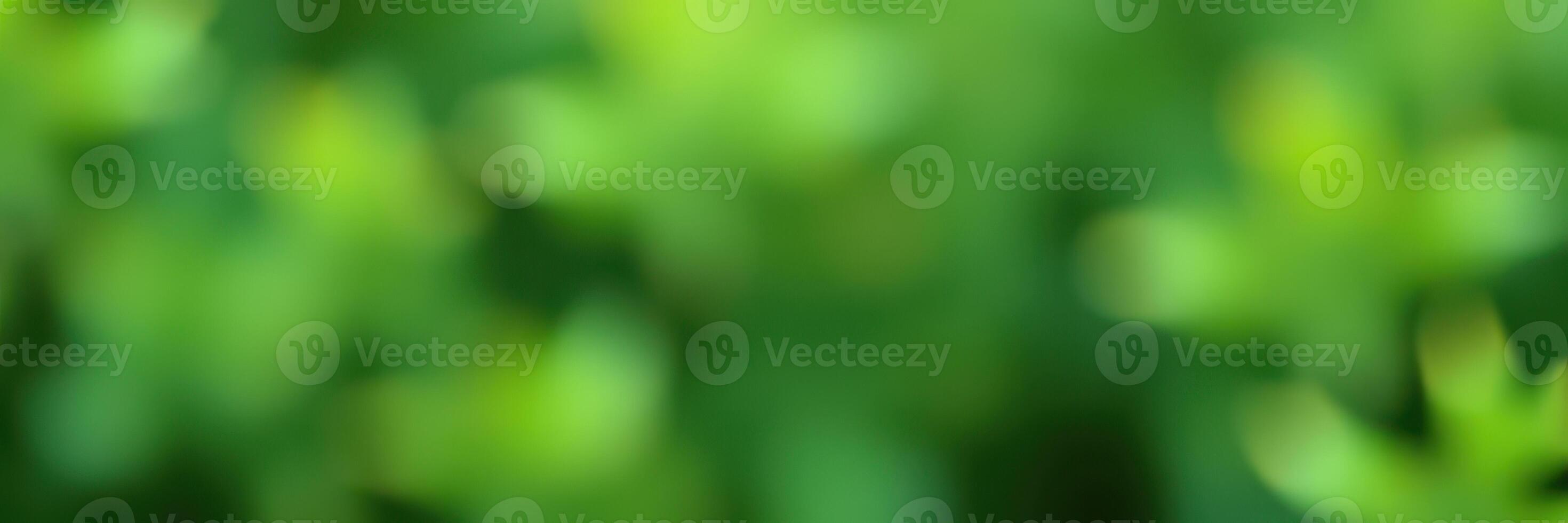 Close-up of lush green foliage highlighting nature's vibrant colors and textures in a serene outdoor setting during daylight photo