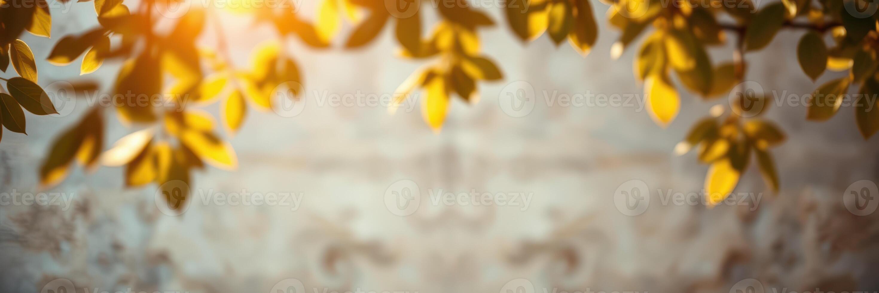 Golden leaves swaying gently in the breeze during a tranquil afternoon in a serene outdoor setting photo