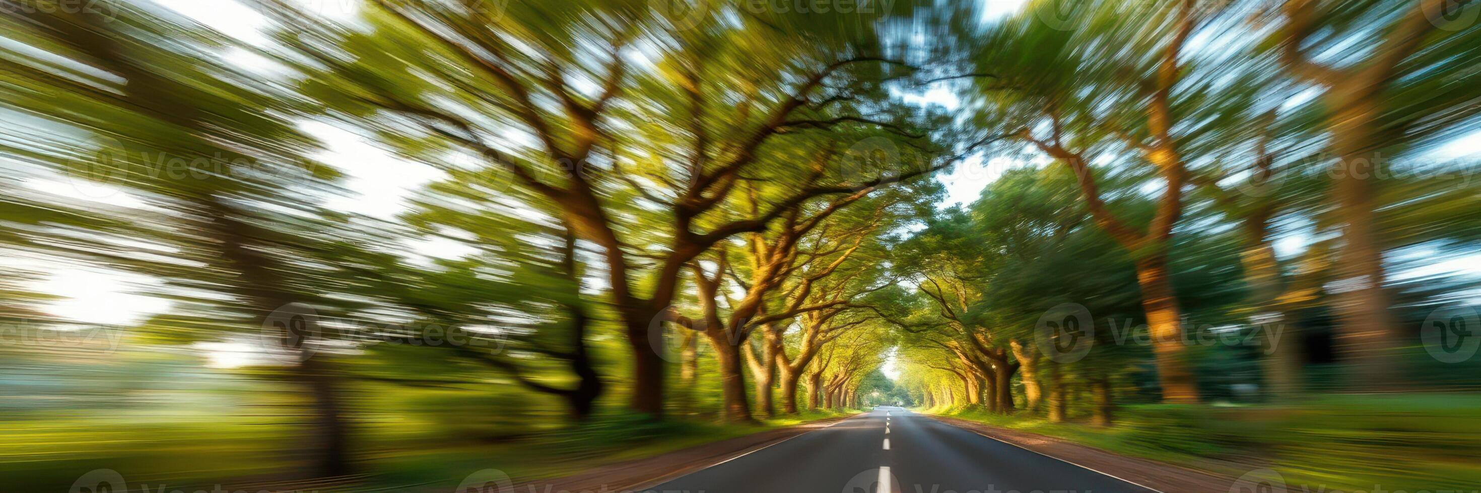 Road lined with trees creates a picturesque view during sunset in a serene forested area photo
