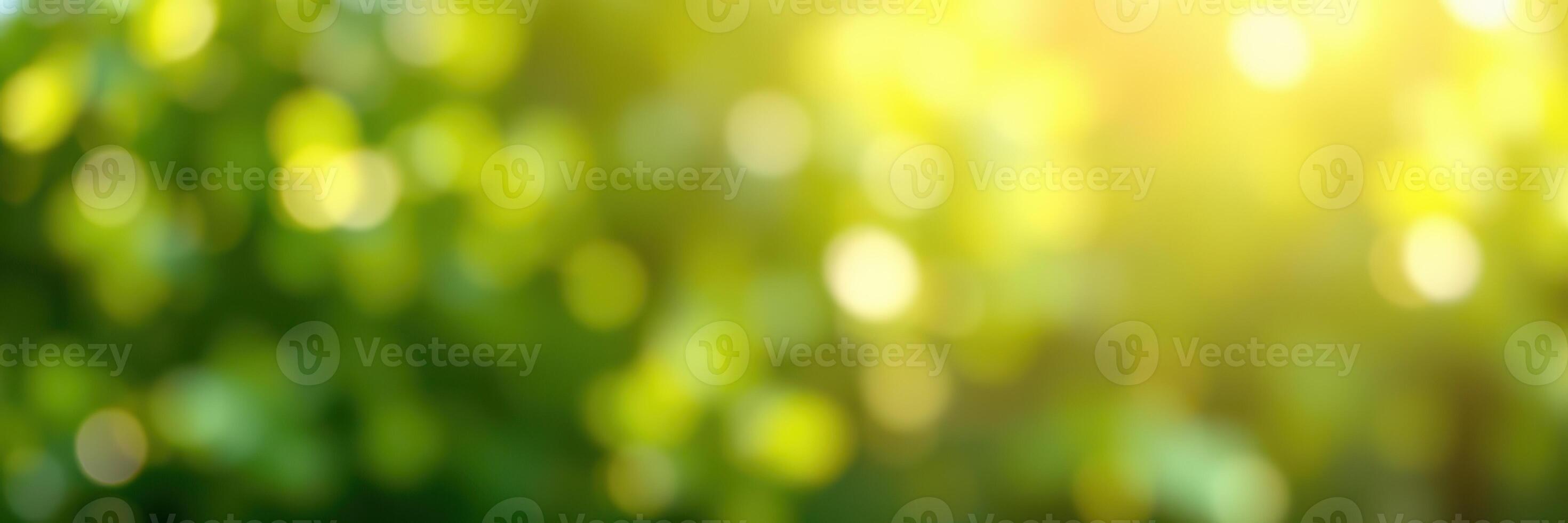 Sunlight filters through lush green leaves creating a serene outdoor atmosphere in a vibrant natural setting photo
