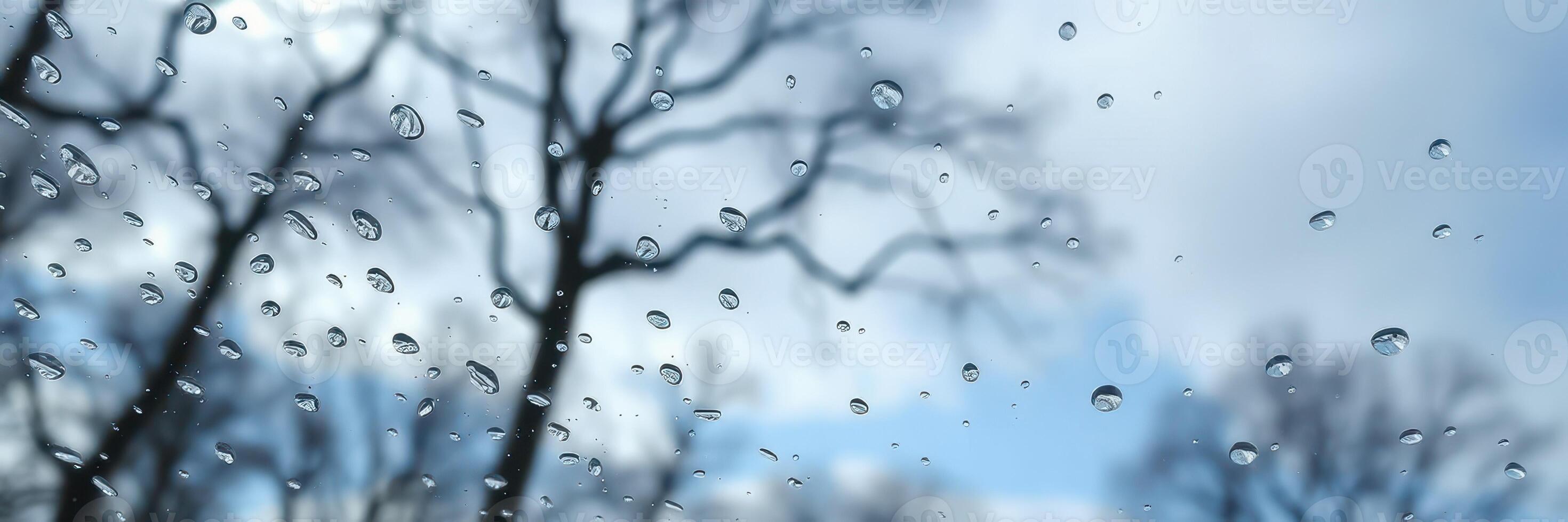 Raindrops cling to glass as trees stand bare against a cloudy sky in a tranquil nature scene photo