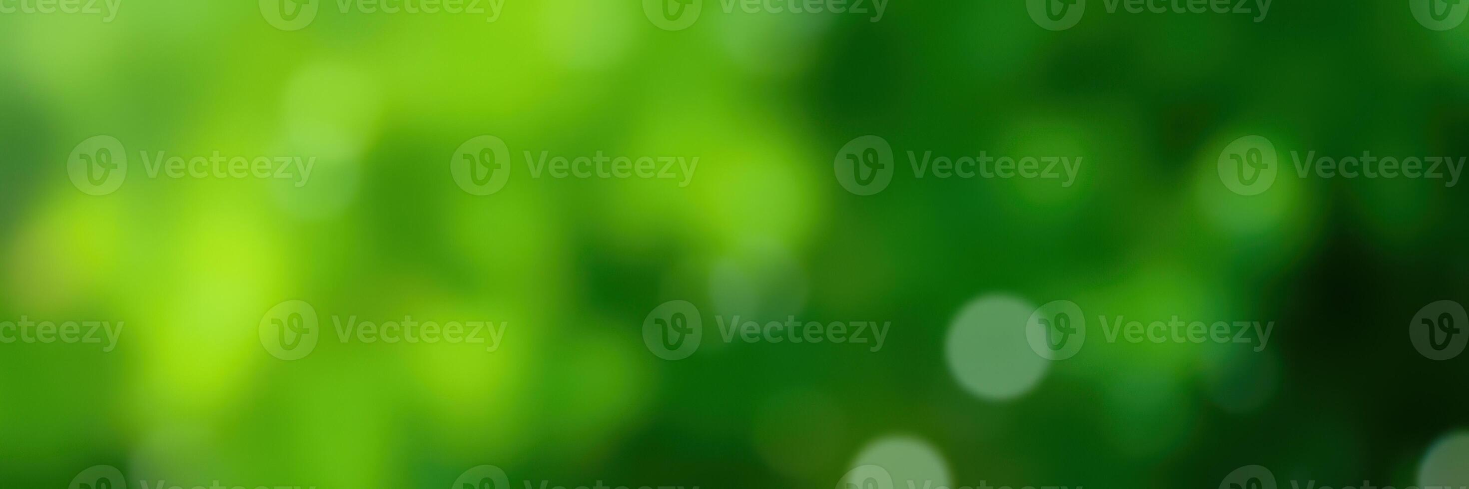 Lush green foliage with soft bokeh effect captures the essence of nature on a sunny day in a serene park photo
