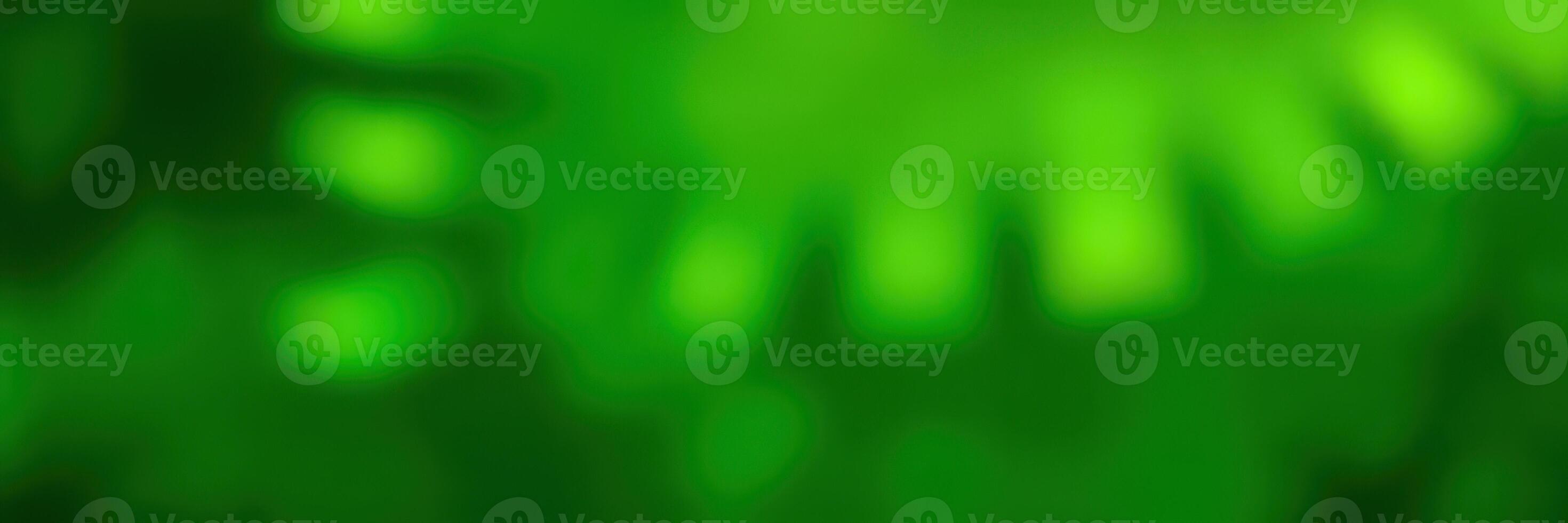 Vibrant green foliage captured in an abstract display of nature's beauty during a sunny afternoon photo
