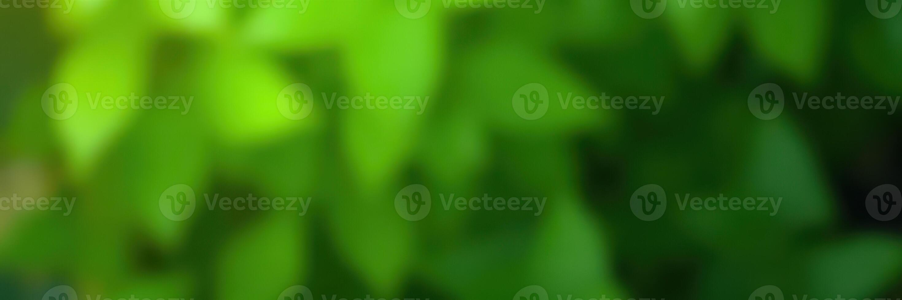 Lush green foliage creates a serene atmosphere in a tranquil garden setting during daylight hours photo