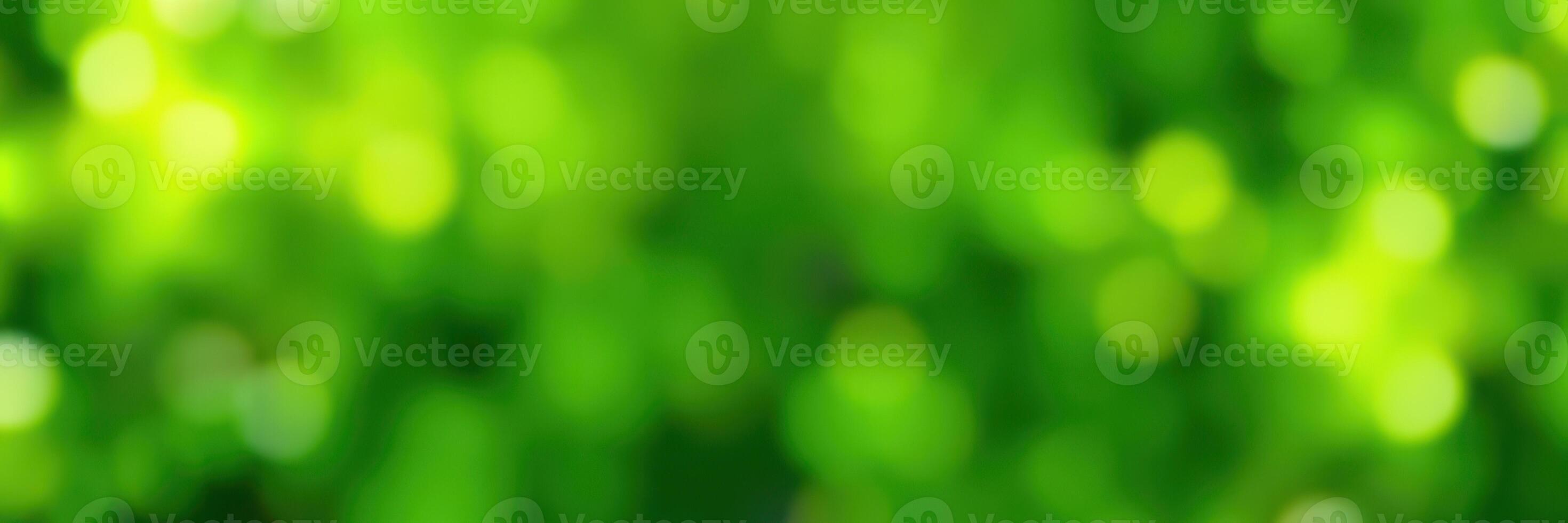 Soft green bokeh background creating a tranquil atmosphere in natural light photo