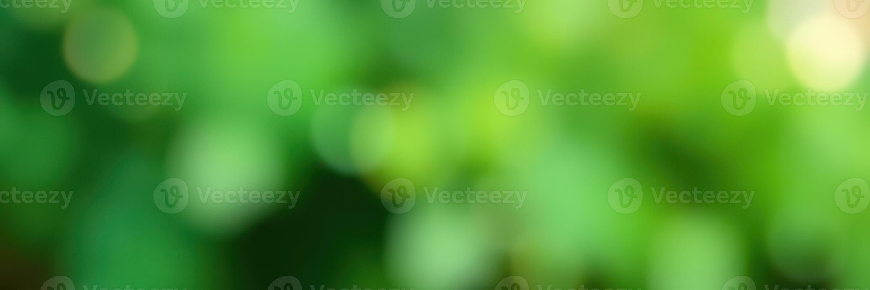 Vibrant green foliage creates a serene atmosphere in a tranquil natural setting during a sunny afternoon photo