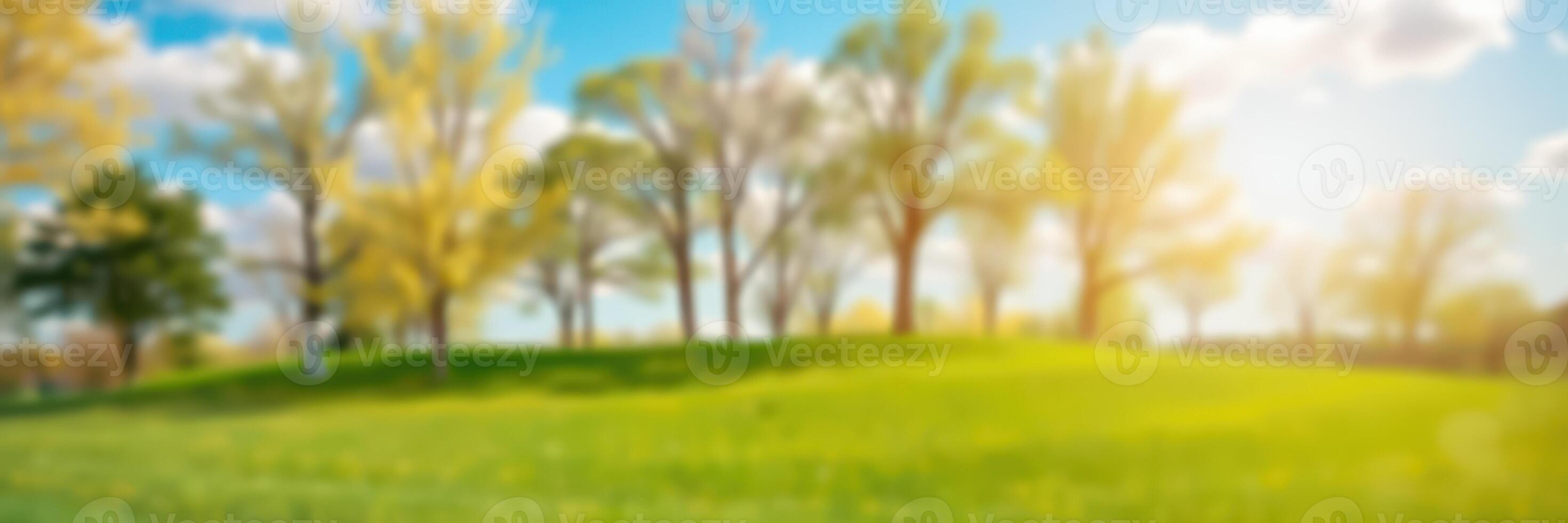 Vibrant green landscape with trees under a bright blue sky in early afternoon light photo