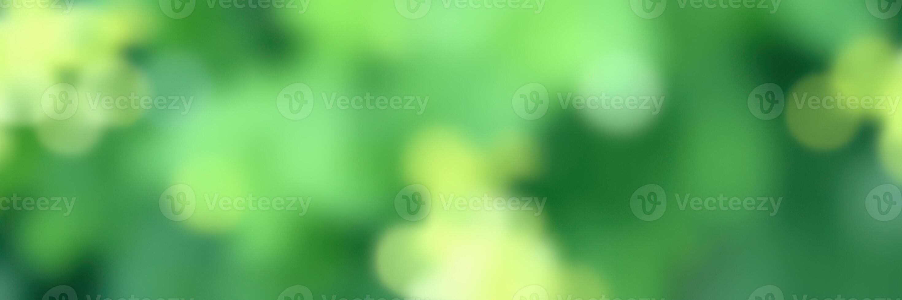 Beautiful green foliage in a vibrant outdoor setting during late spring with soft sunlight filtering through leaves photo