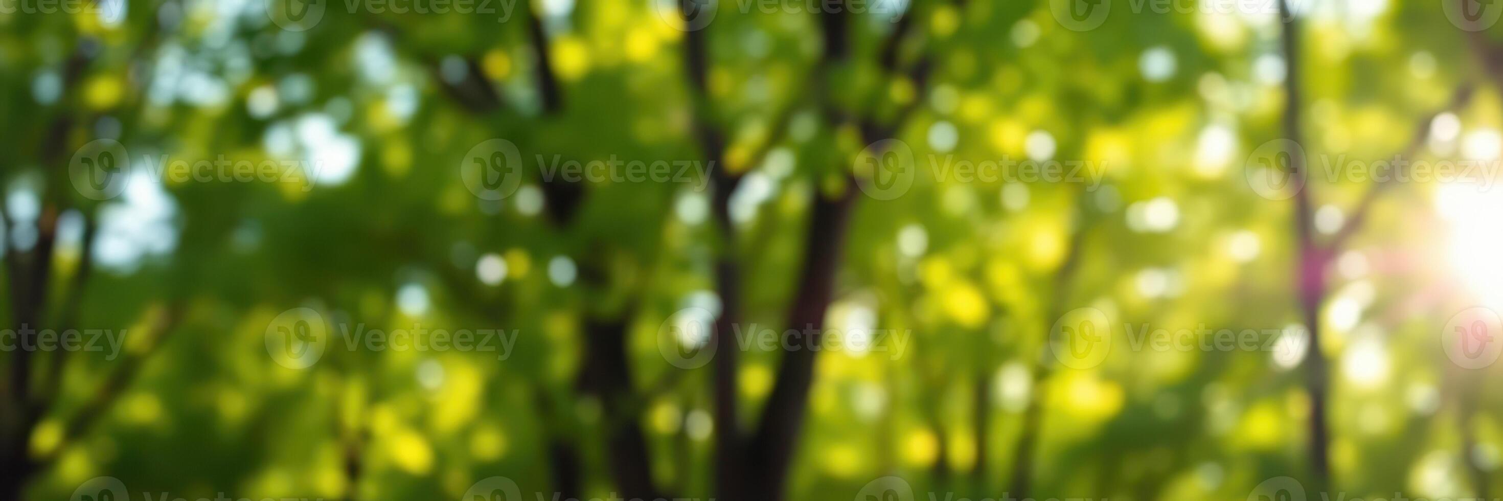 Sunlight filters through lush green foliage in a tranquil forest setting during the early hours of the morning photo