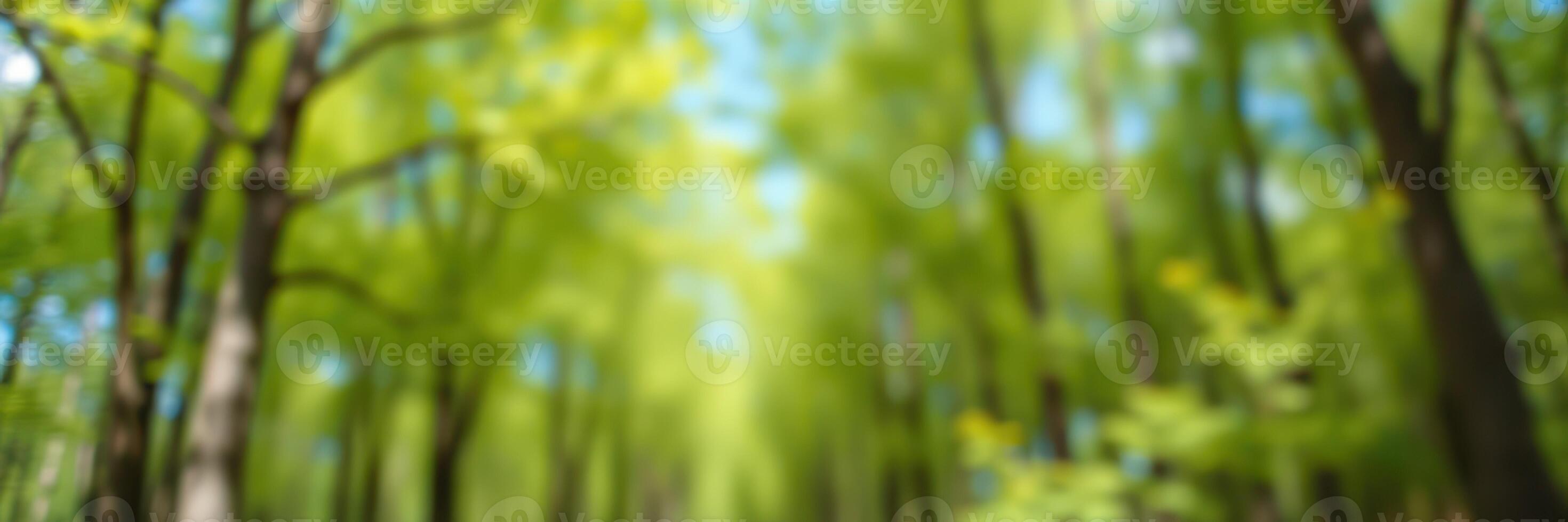 Vibrant green forest with sunlight filtering through trees creates a peaceful ambiance in nature photo